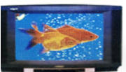 Macsumsuk far-infrared radiation samsung bio-tv experiment on fish